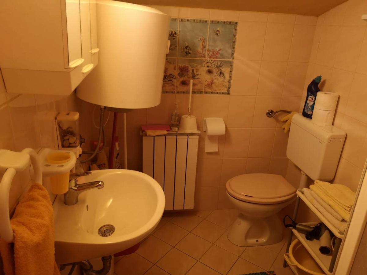 Apartment Samanta Šišan Dış mekan fotoğraf