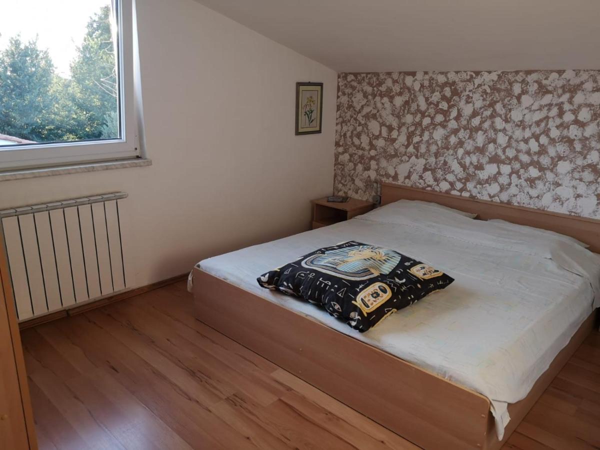 Apartment Samanta Šišan Dış mekan fotoğraf