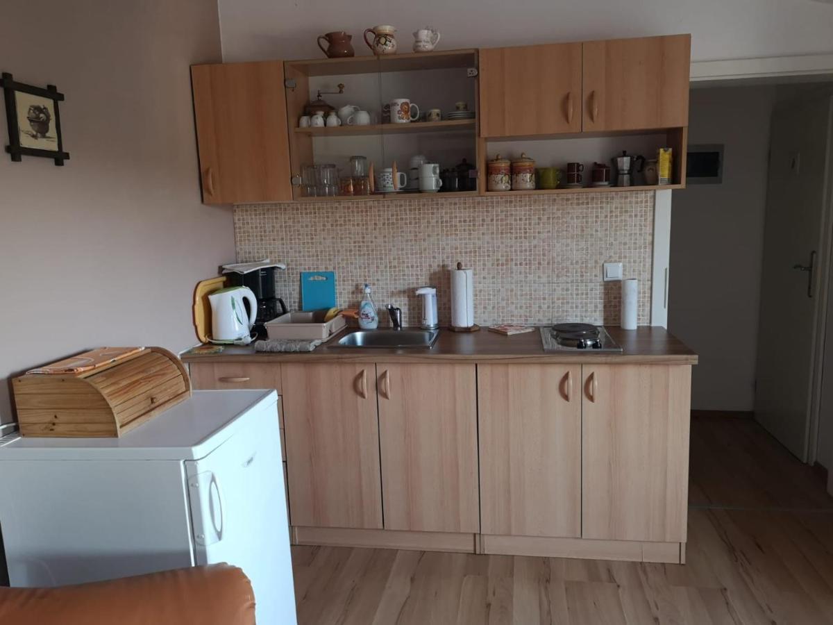 Apartment Samanta Šišan Dış mekan fotoğraf
