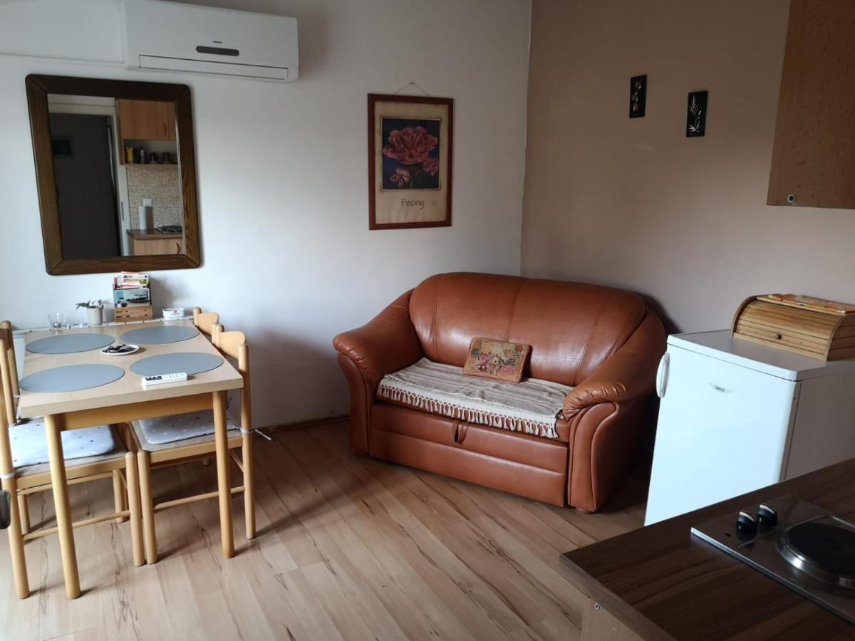 Apartment Samanta Šišan Dış mekan fotoğraf