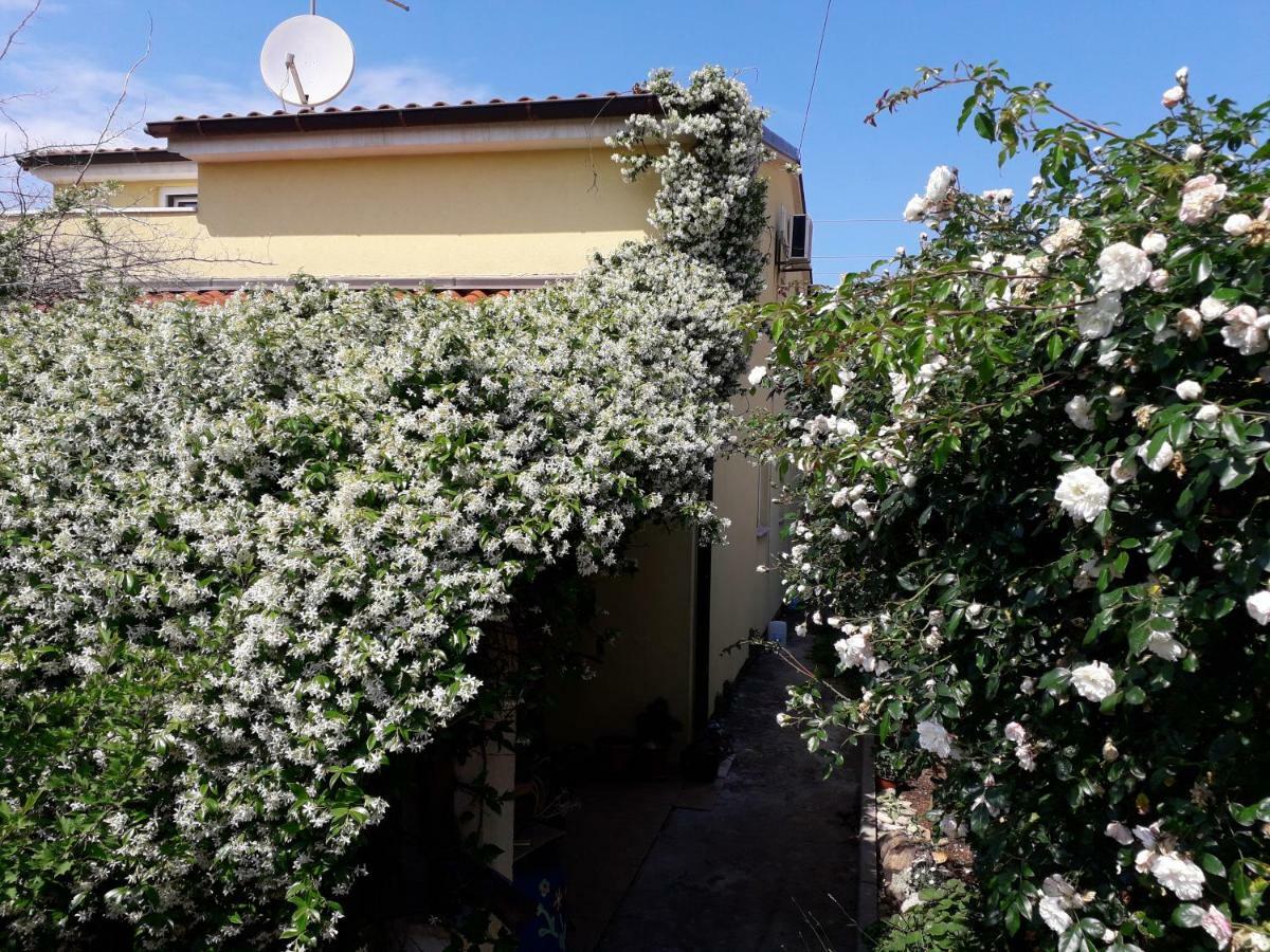 Apartment Samanta Šišan Dış mekan fotoğraf